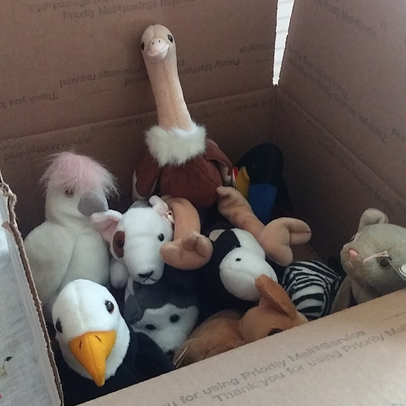 Ty 5 lb. Box of Original Vintage Beanie BABIES; 1996-2001;Personal Collection - Picture 3 of 3